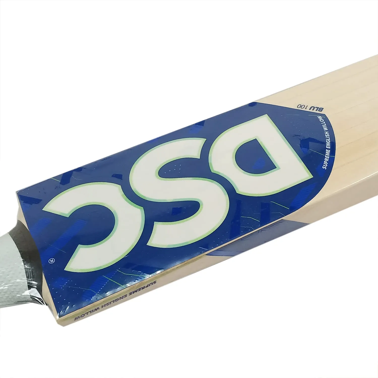 DSC Blu 100 English Willow Cricket Bat