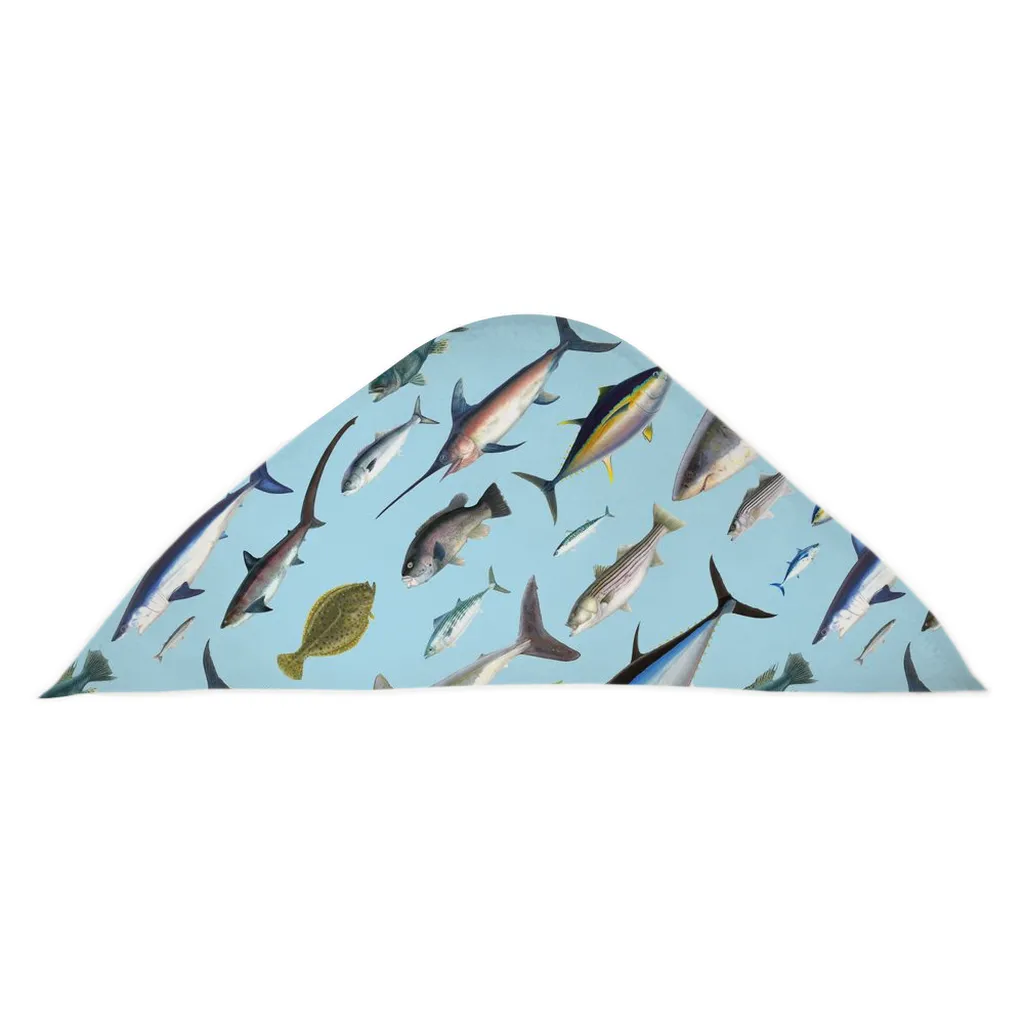 NE Fish Hooded Baby Towel